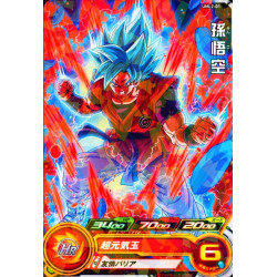 Super Dragon Ball Heroes Official Card Loader 9th Anniversary Set