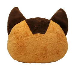 Mon Voisin Totoro Coussin Nakayoshi Chatbus