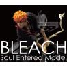 Bleach Soul Entered Model Figurine Ichigo Kurosaki Vol.2