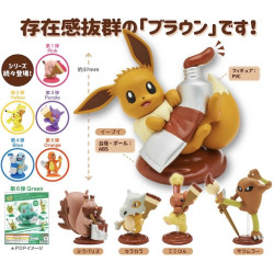 Pokémon Palette Color Collection Brown