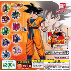 Dragonball Super - Super Hero - Acrylic Charm 1 Collection