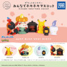 Pokemon Everyone's Warm Mascot Collection