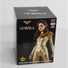 WW84 Wonder Woman Special Figure