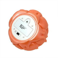 One Piece Lampe Fruit Du Mera Mera No Mi